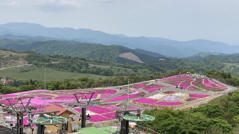 茶臼山高原（愛知県）