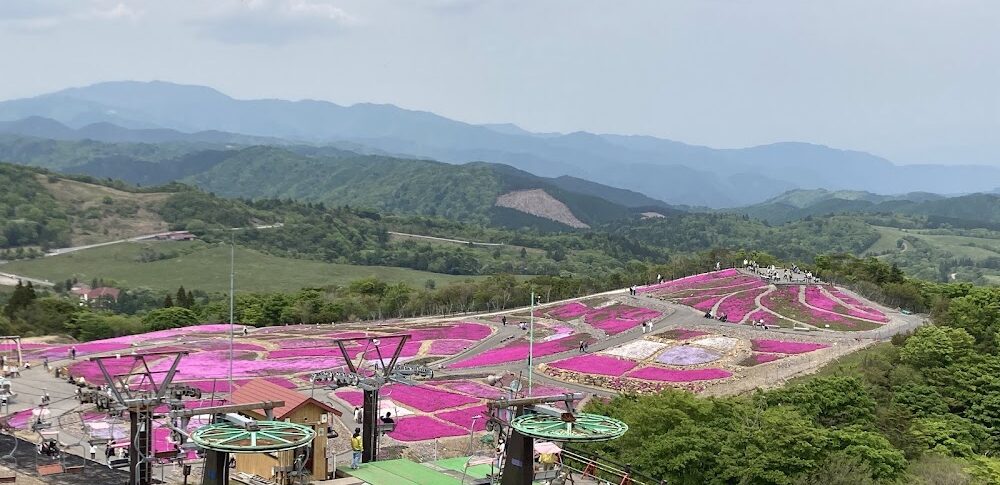 茶臼山高原（愛知県）