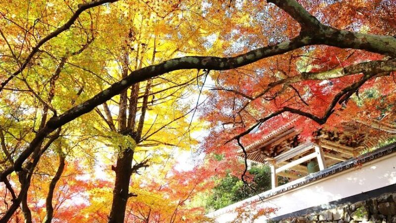円興寺（岐阜県大垣市）