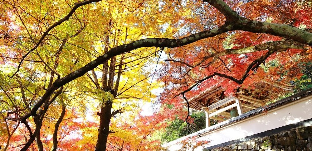 円興寺（岐阜県大垣市）