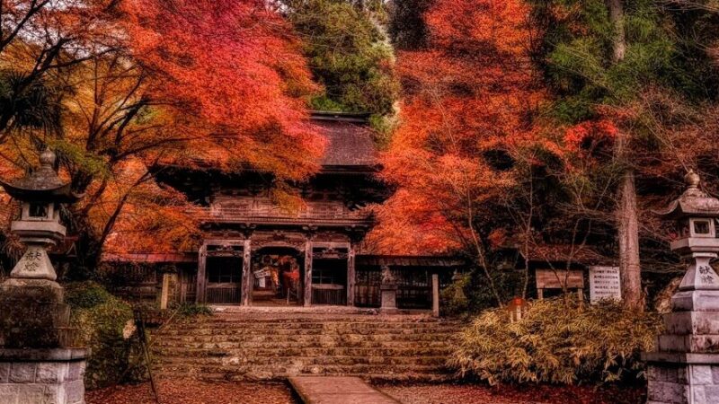 大矢田神社もみじ谷（岐阜県美濃市）