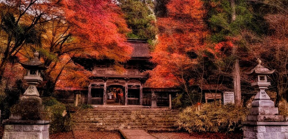 大矢田神社もみじ谷（岐阜県美濃市）