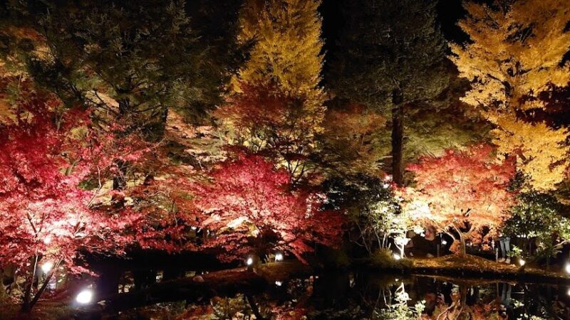 曽木公園（岐阜県土岐市）