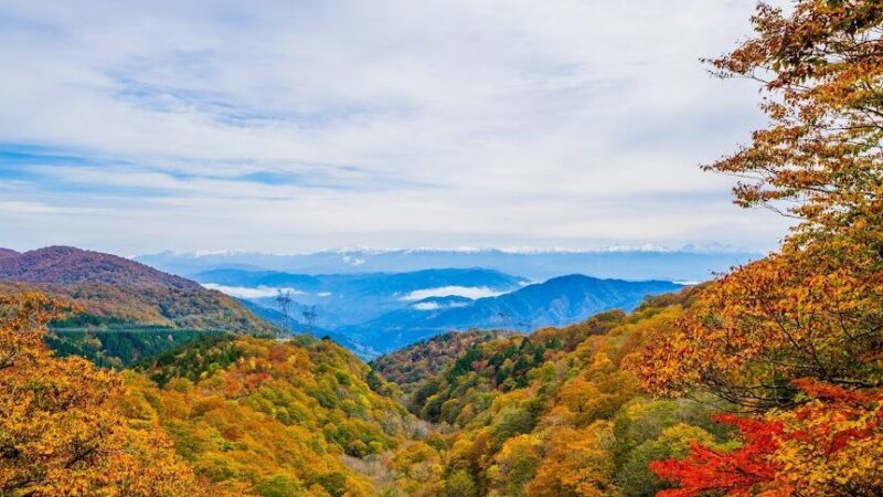 天生県立自然公園（岐阜県）