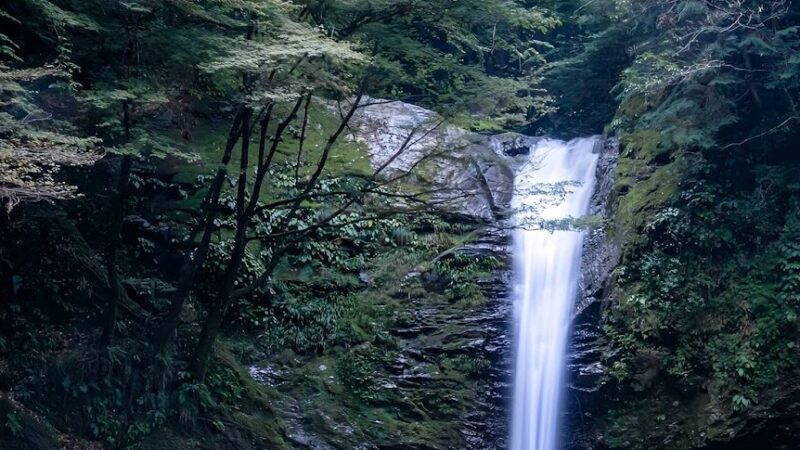 横谷峡・四つの滝（岐阜県）
