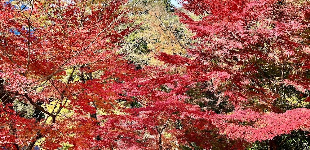 宮妻峡・水沢もみじ谷