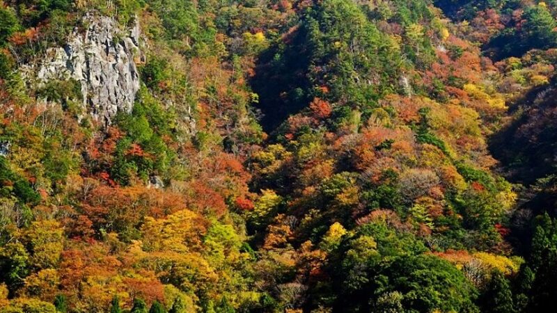 香落渓（三重県名張市）