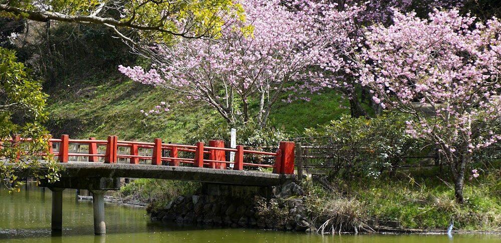 亀山公園（三重県）