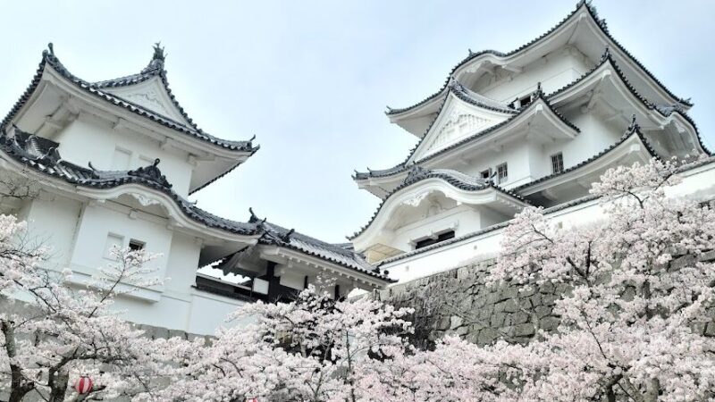 上野公園（三重県伊賀市）