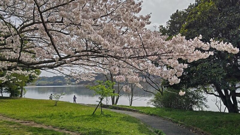 佐鳴湖公園（静岡県浜松市）