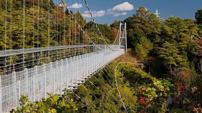 静岡県立森林公園（静岡県）
