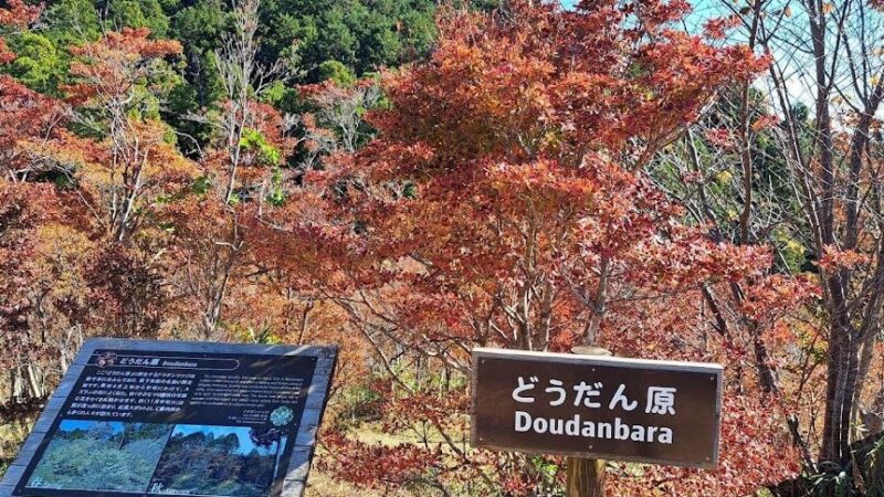 千葉山ハイキングコース
