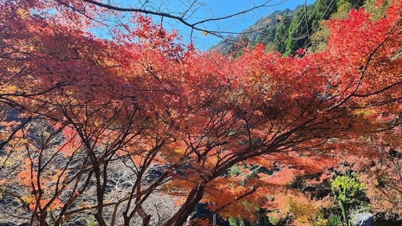 滝ノ谷不動峡（静岡県）