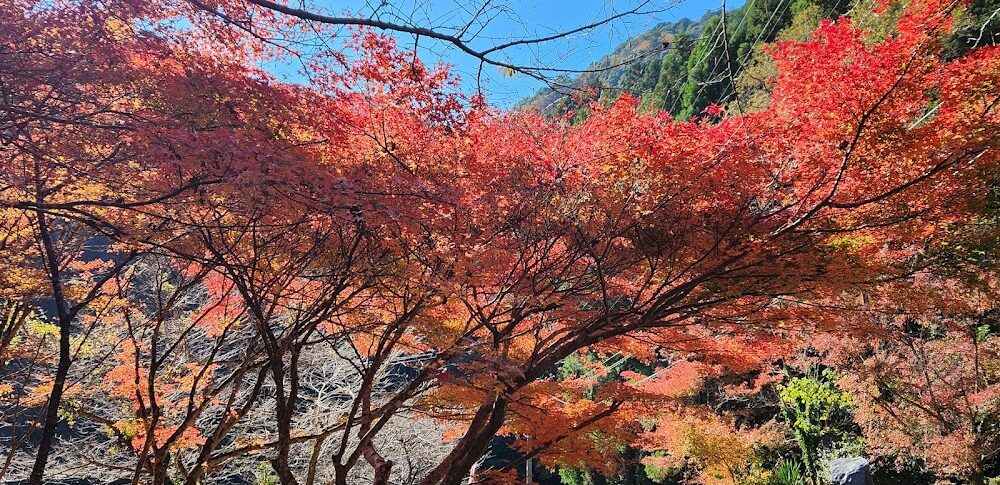 타키노야 불동협곡（시즈오카현）