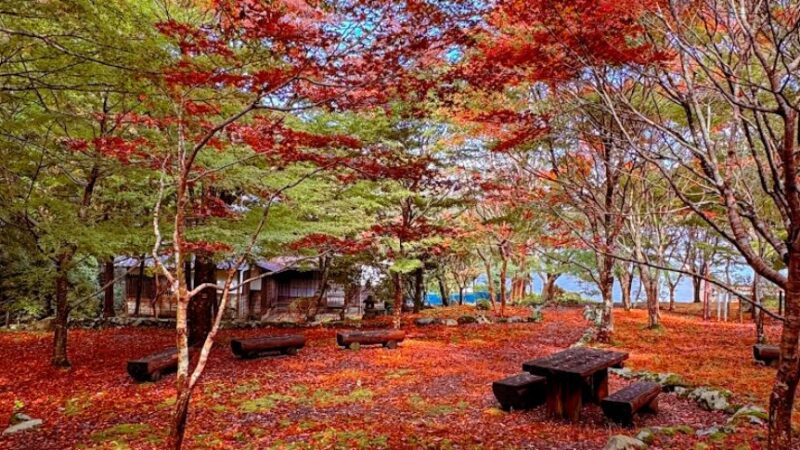 天城・昭和の森会館周辺（静岡県）