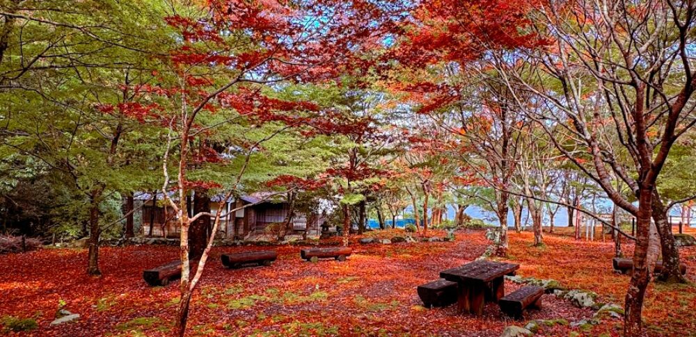 天城・昭和の森会館周辺（静岡県）