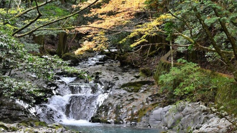 滑沢渓谷（静岡県）