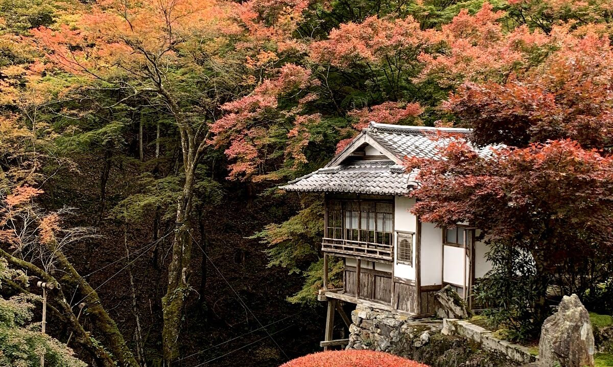 古知谷 阿弥陀寺（京都府）