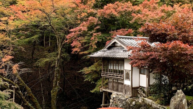 古知谷 阿弥陀寺（京都府）
