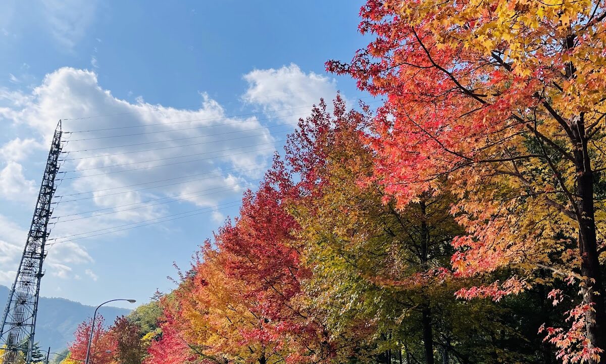 竹田寺町通り（兵庫県）