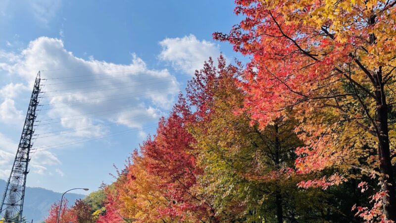 竹田寺町通り（兵庫県）