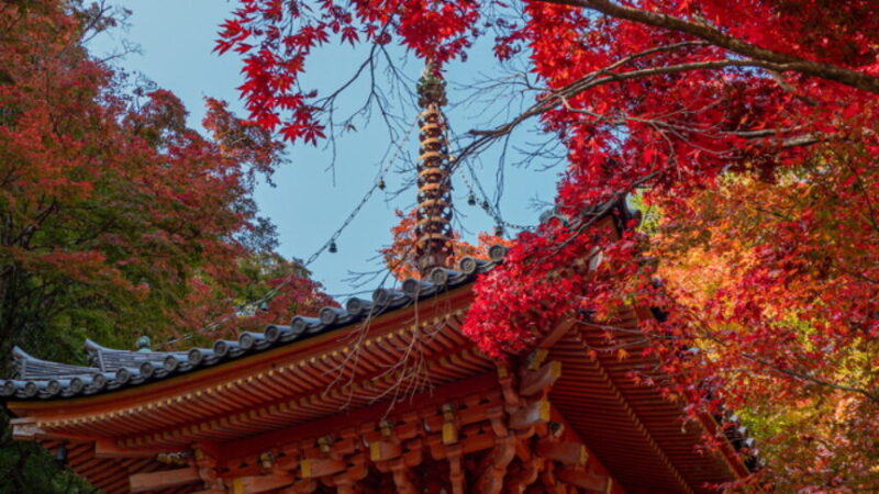 牛滝山（大阪府）