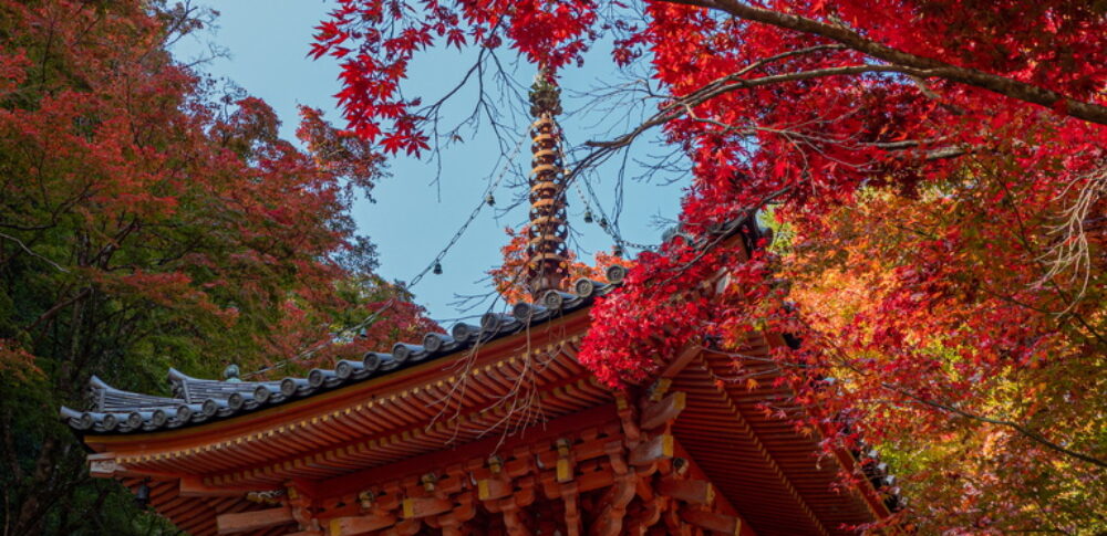 牛滝山（大阪府）
