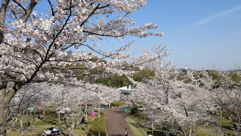 摂津峡公園（大阪府高槻市）