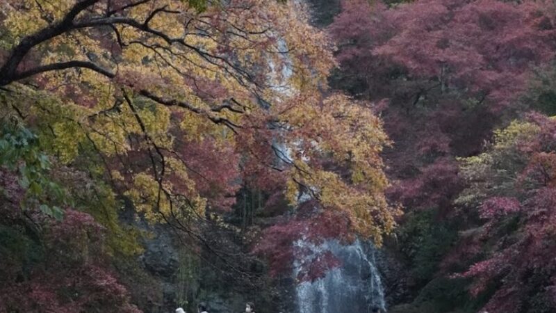 箕面公園（大阪府）
