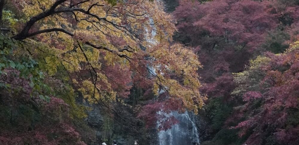 箕面公园（大阪县）