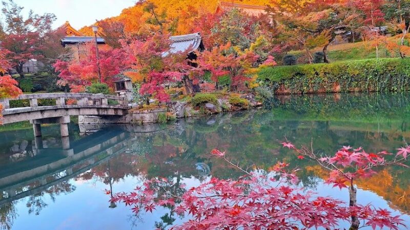 永観堂 禅林寺（京都府）