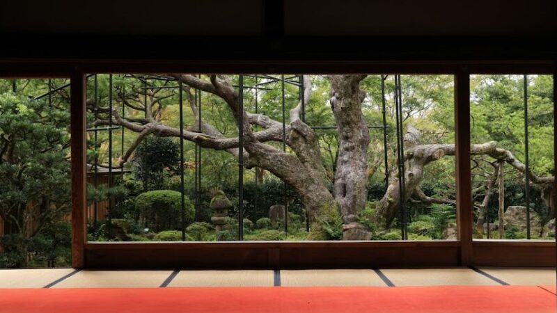 宝泉院（京都府）