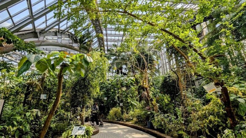 京都府立植物園