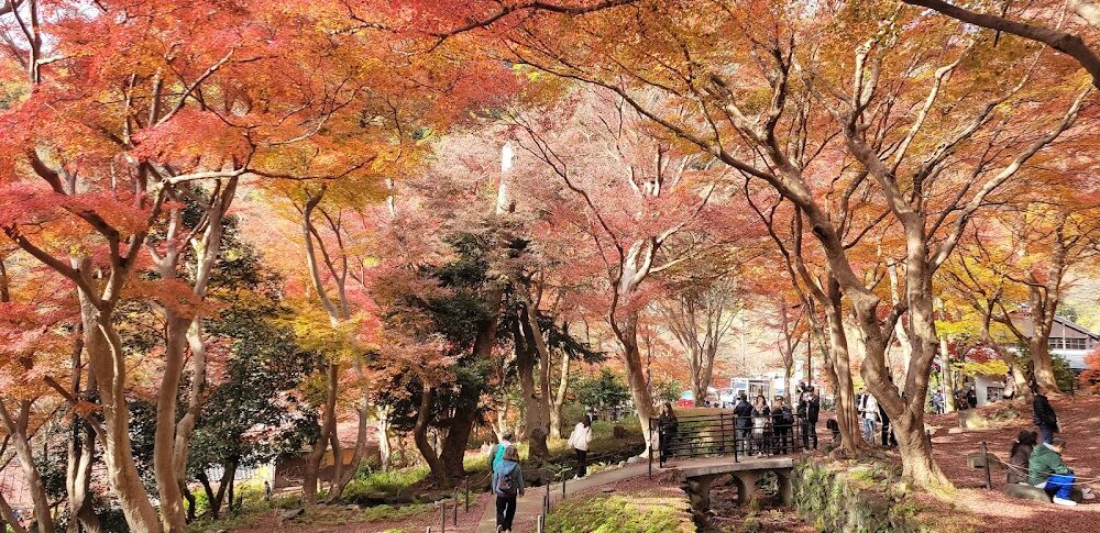 Yase Momiji Komichi (Kyoto Prefecture)