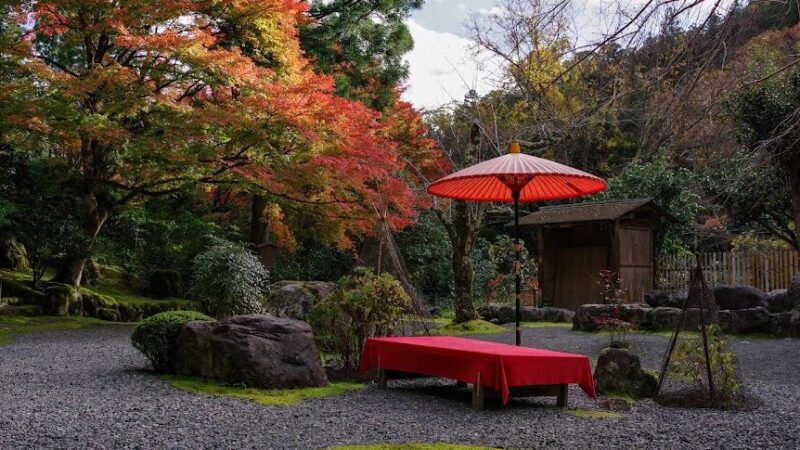 白龍園（京都府）