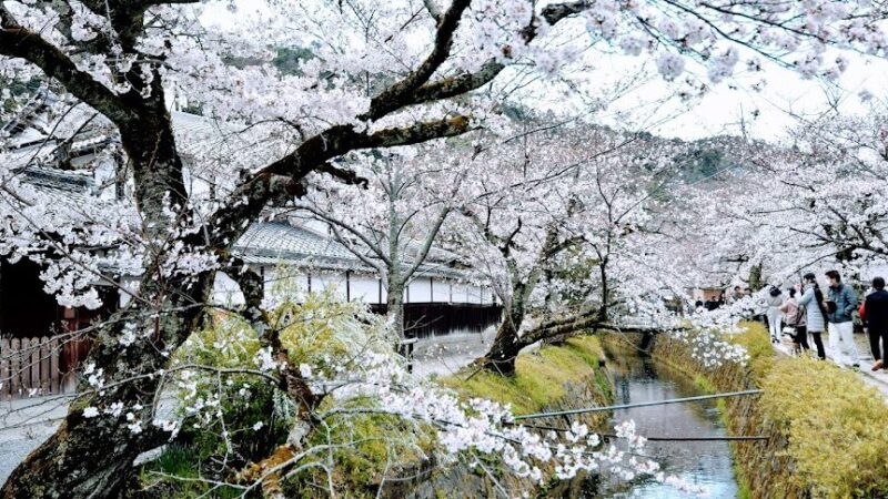 哲学の道（京都府）