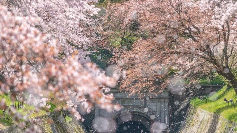 琵琶湖疏水（京都府）