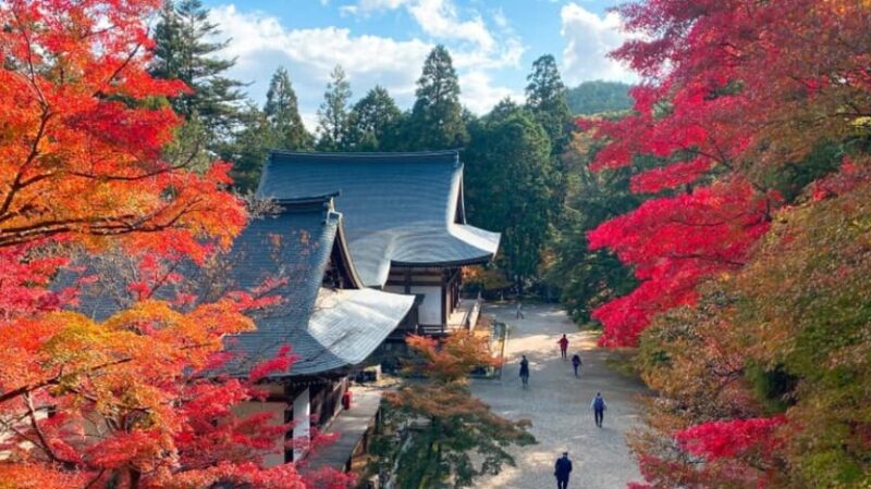 高雄・神護寺