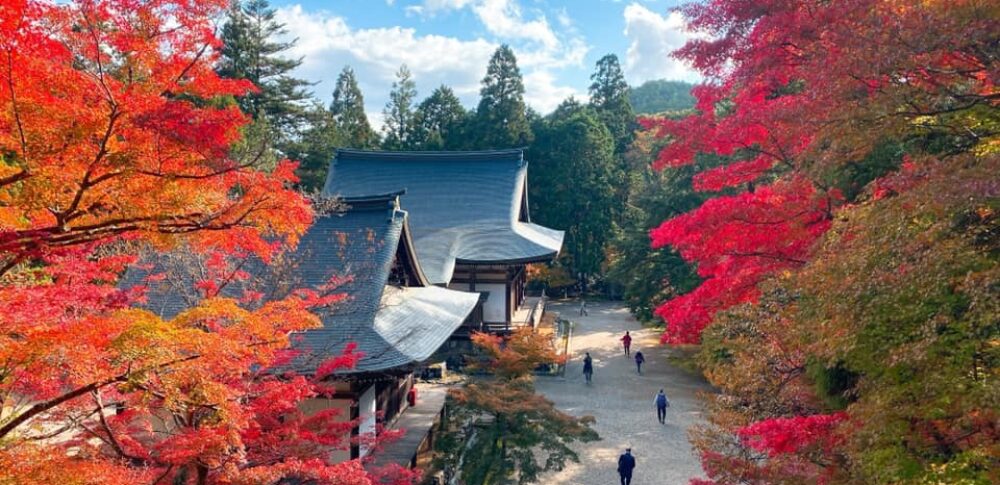 고야산 고도사(코야산 고도사) – 코야산 신고지(신고사)