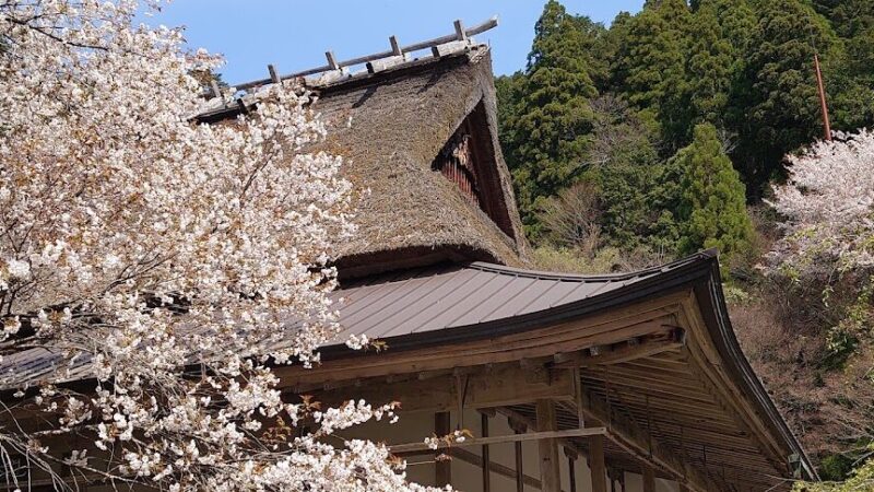 常照皇寺（京都府）