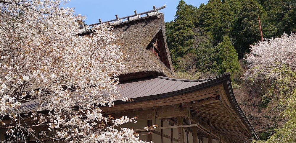 常照皇寺（京都府）