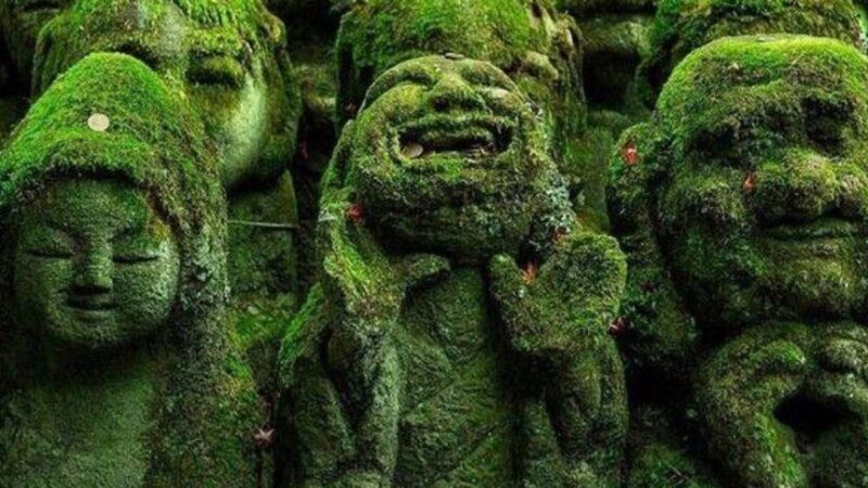 愛宕念仏寺（京都府）