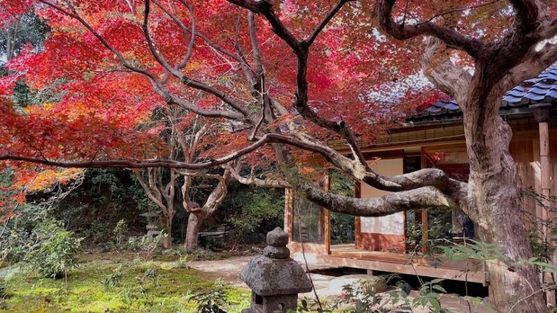 厭離庵(京都府)