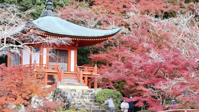 醍醐寺（京都府）