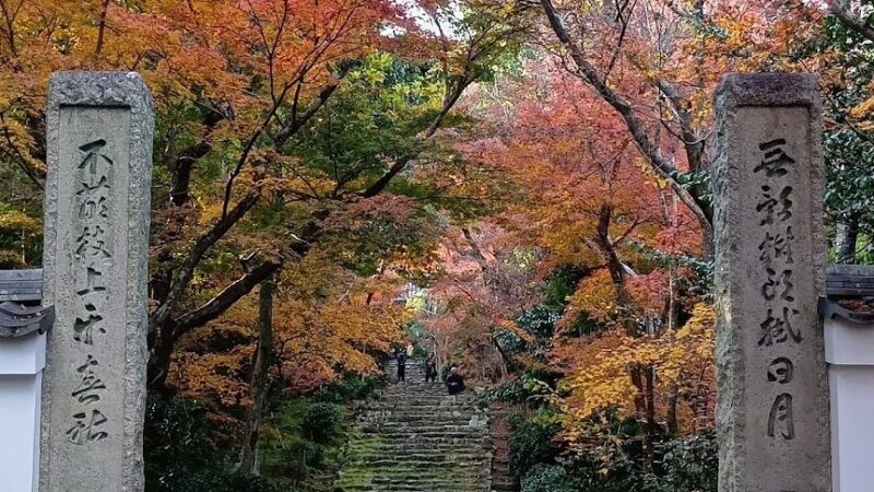 浄住寺（京都府）