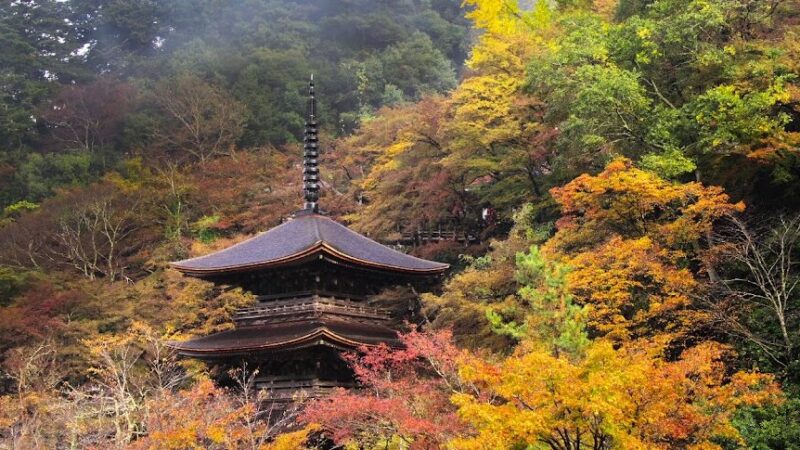 金剛院（京都府舞鶴市）