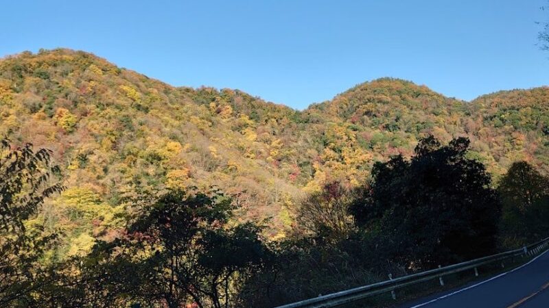 宇治川ライン（京都府）