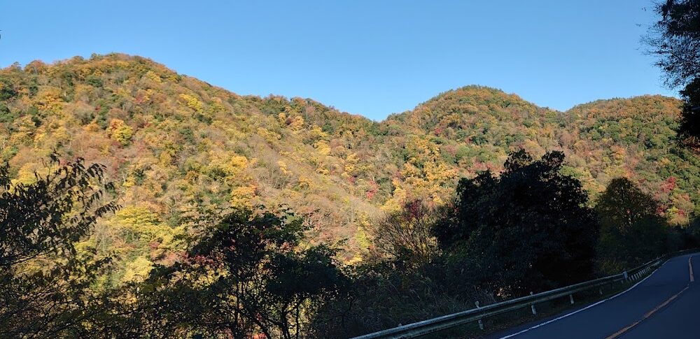 우지강 라인(교토부)