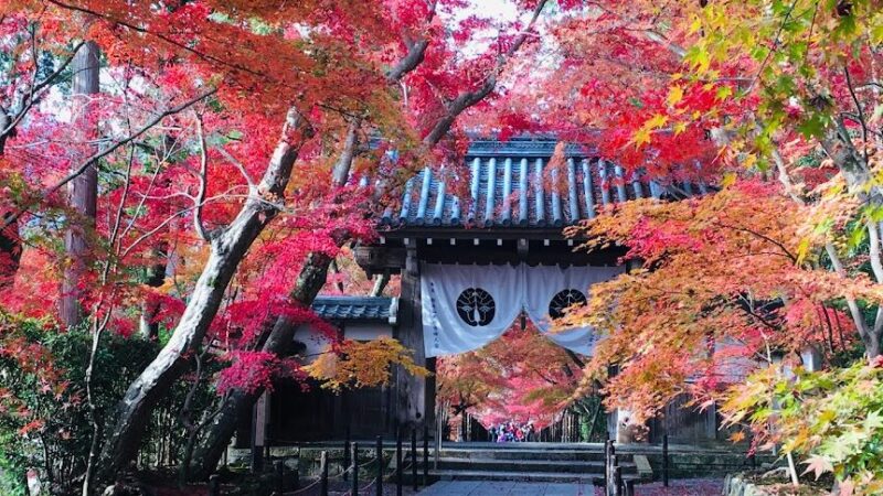 光明寺（京都府長岡京市）