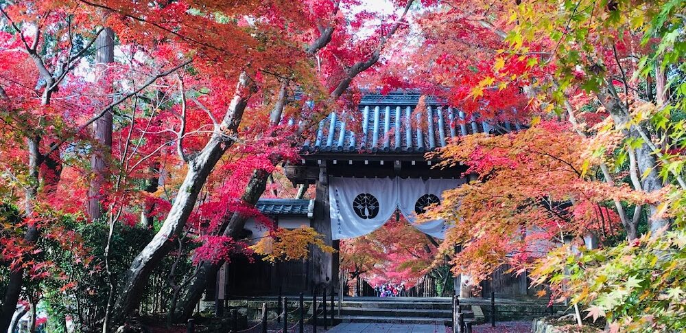 光明寺（京都府長岡京市）